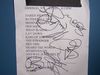 4-29-07 Setlist.JPG