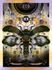 Concert Poster