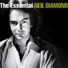 al_2002_essential.jpg