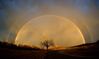 Tree and double rainbow.jpg