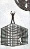 Top of the Cage3.jpg
